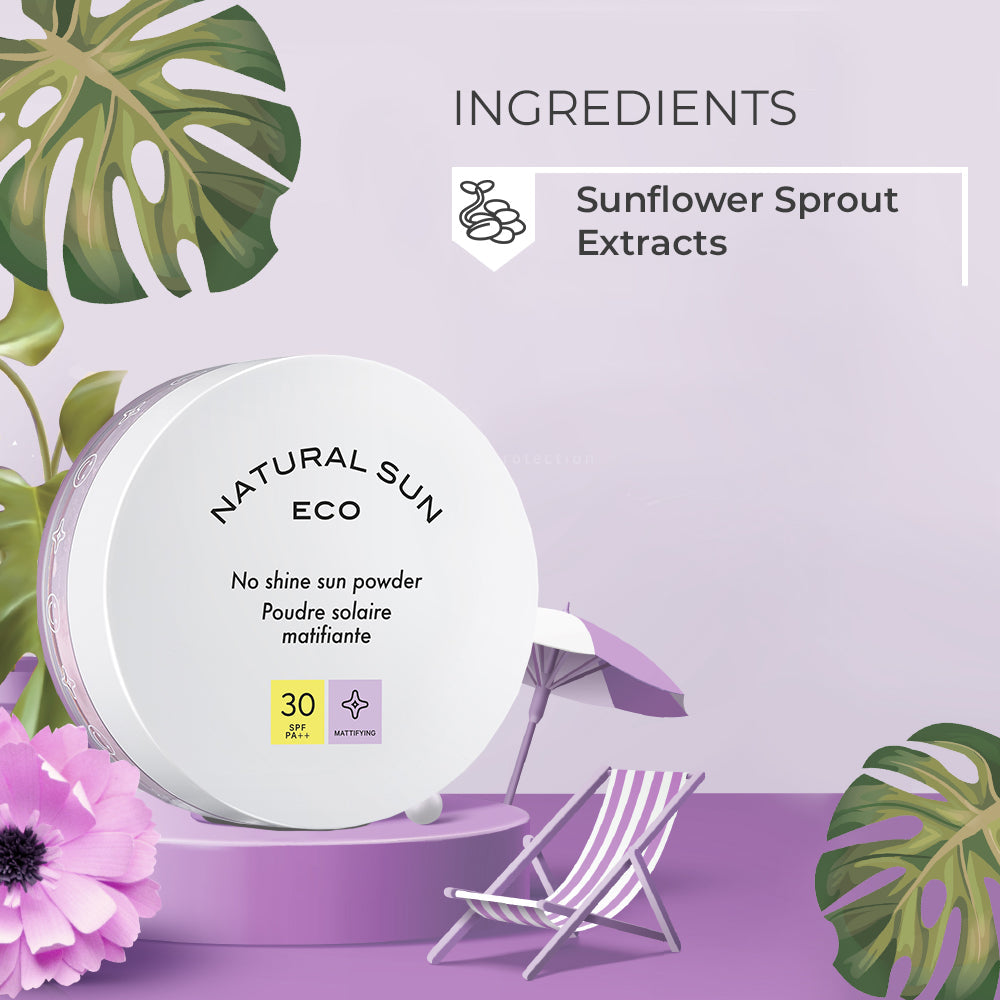 NaturalSun Eco No Shine Sun Powder