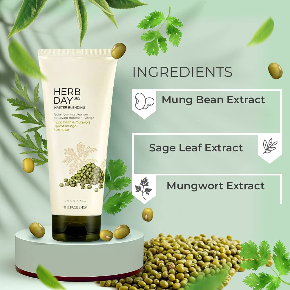 Herb Day 365 Foaming Cleanser - Mungbean & Mugwort