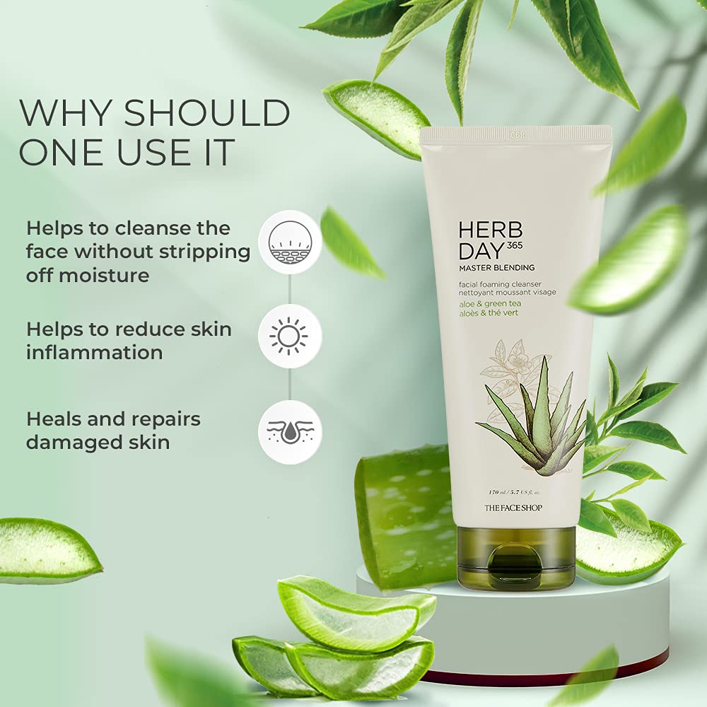 Herb Day 365 Foaming Cleanser - Aloe & Green Tea